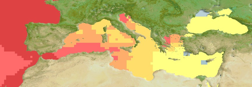Pomatomus Saltatrix Distribution Map