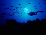 scuba-diving-featured-image0010